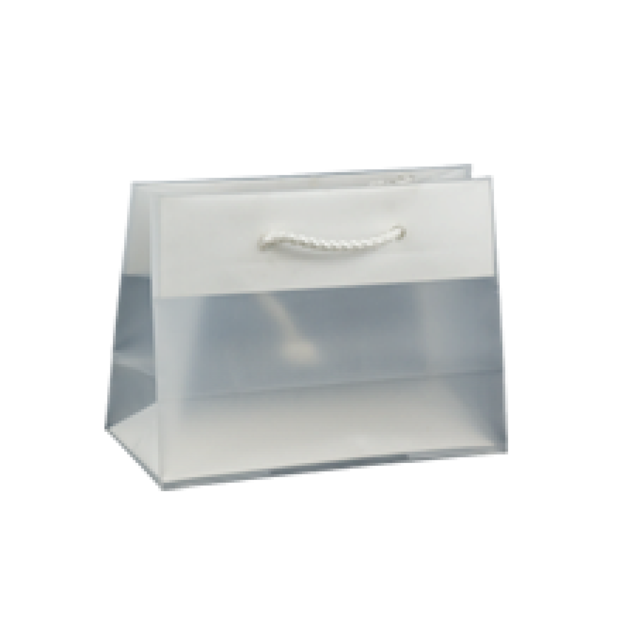 Plastic Fashion Mini Boutique Bag Frosted