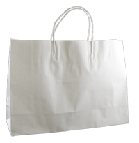 Kraft Small Fashion Boutique Bag - White