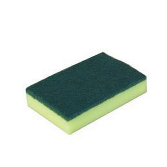 Sabco Standard Grade Sponge Scourer 10Pk