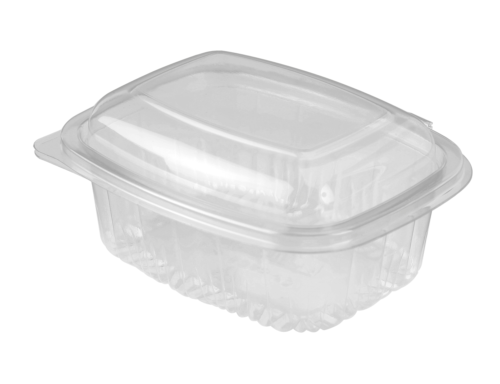 Plastic Container Rectangle - Hinged Lid 500ml